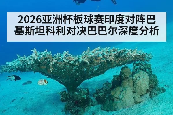 2026亚洲杯板球赛印度对阵巴基斯坦科利对决巴巴尔深度分析